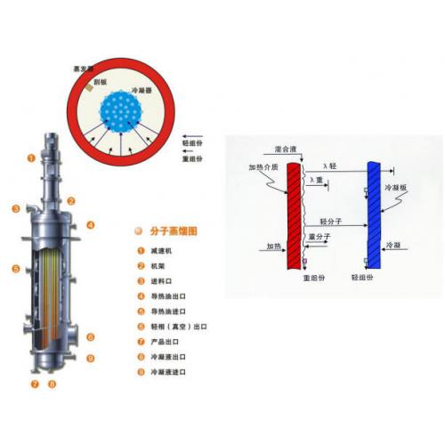 分子蒸馏设备 分子蒸馏器
