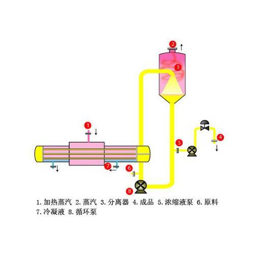 强制循环蒸发器