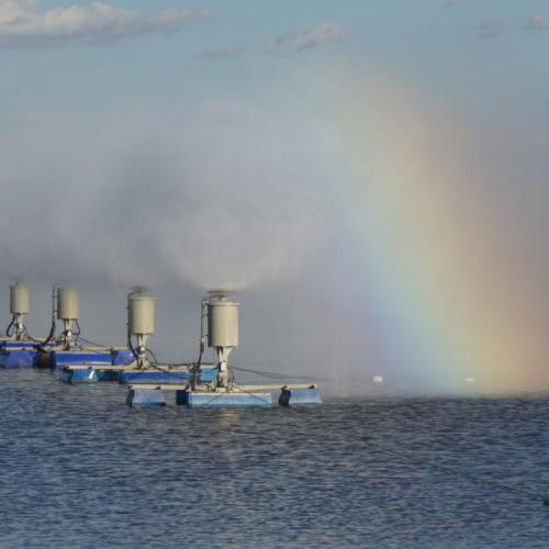 污水处理蒸发塘